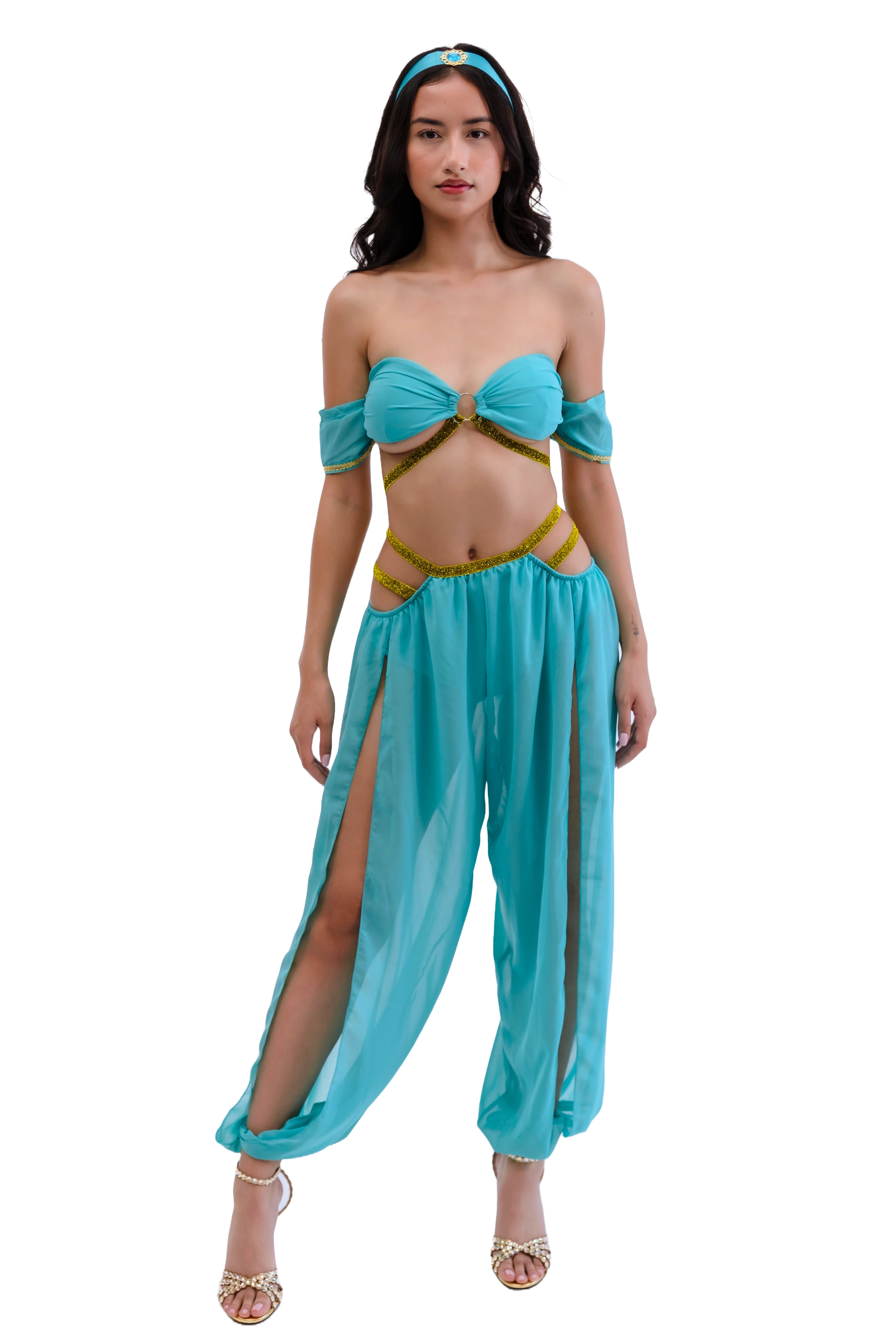 Princess of the Dunes Arabian Costume