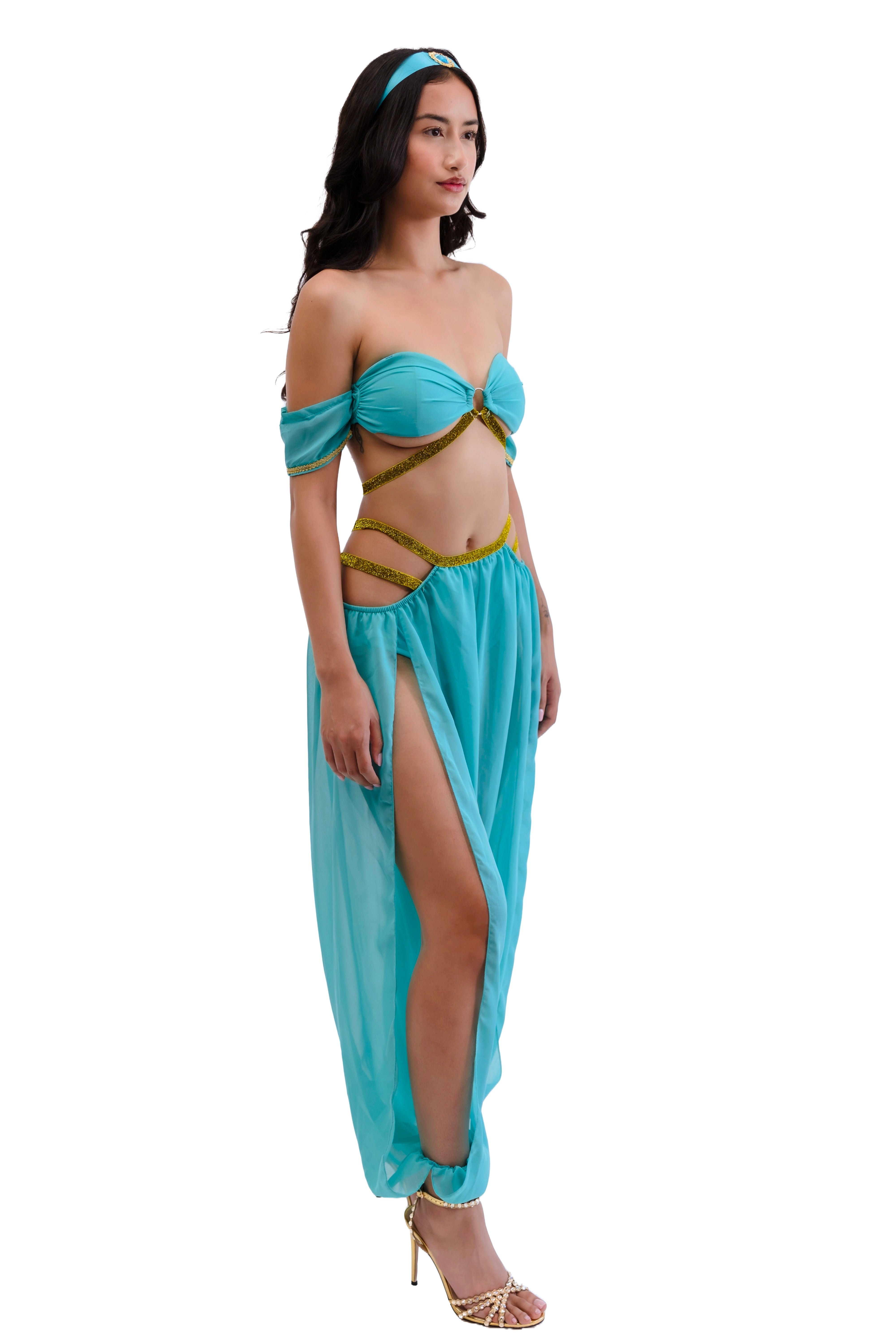 Princess of the Dunes Arabian Costume