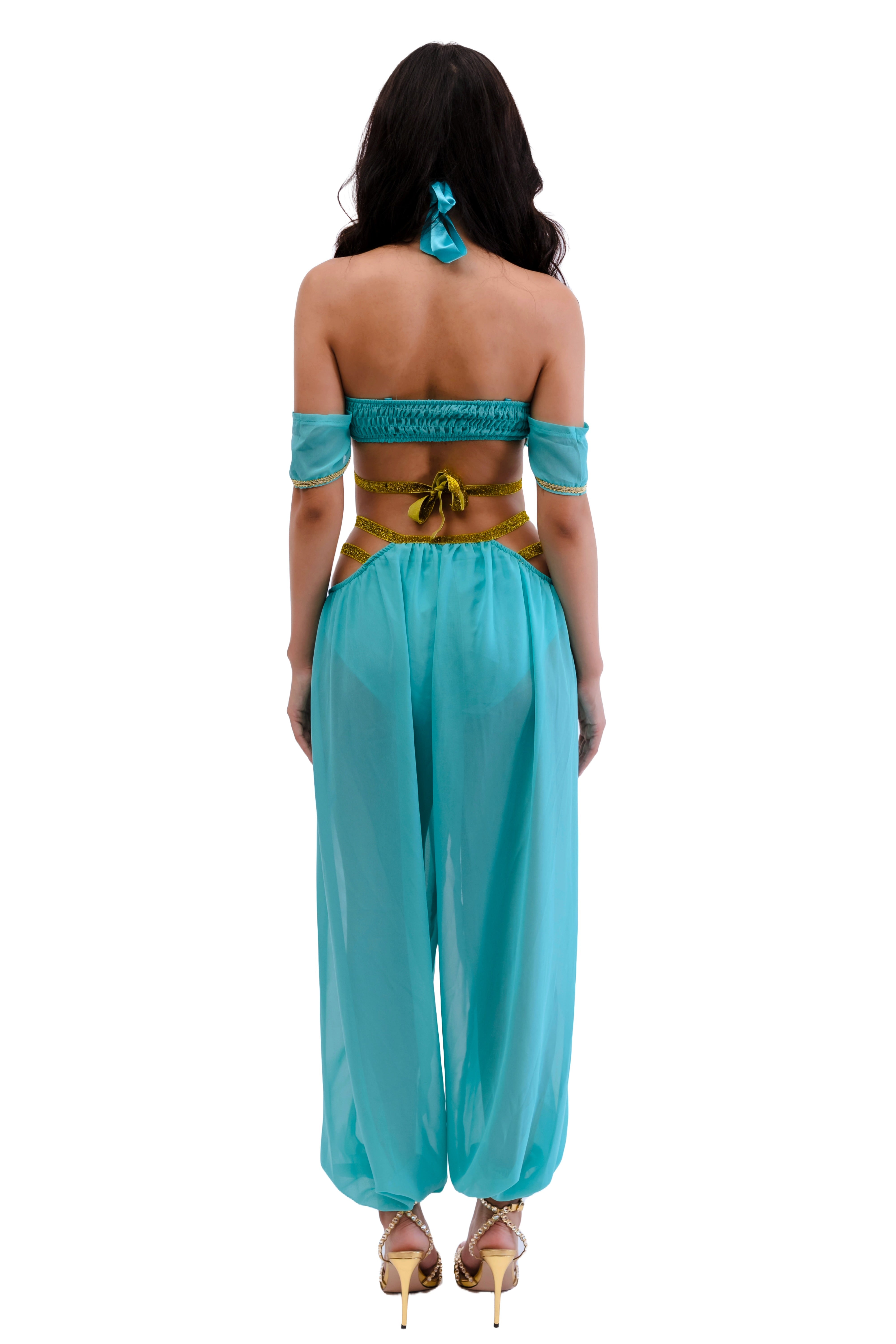 Princess of the Dunes Arabian Costume